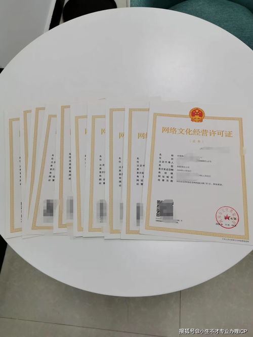 办理网络文化经营许可证的费用构成与申请流程详解