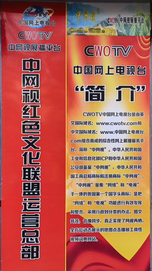 中网视红色文化联盟运营总部落地上海暨中网视上海总部成立周年庆 探索网络文化经营新范式